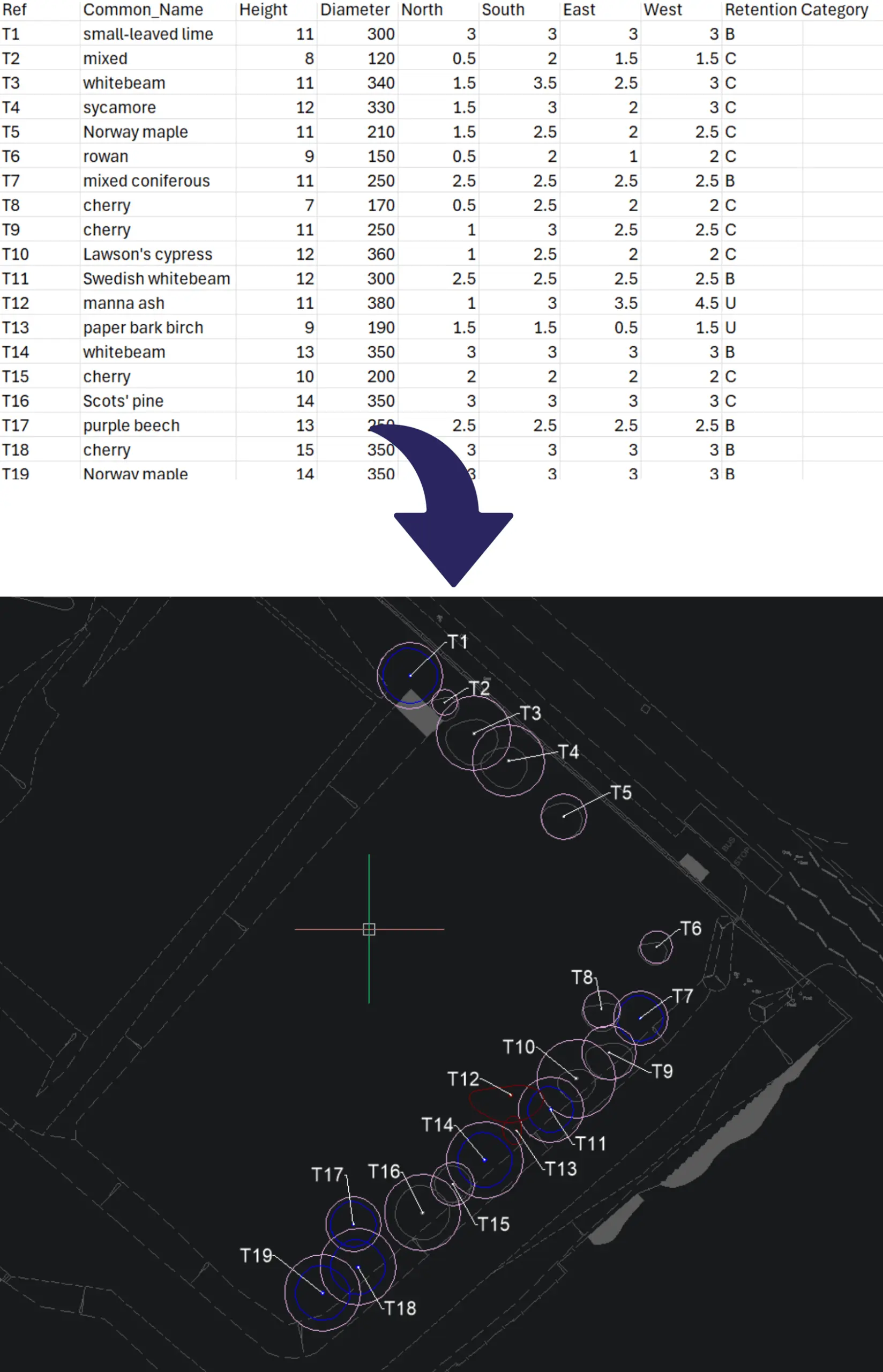 Qarb tree survey data import showing CSV spreadsheet converted into BS5837 tree constraints plan in CAD with canopy and root protection areas